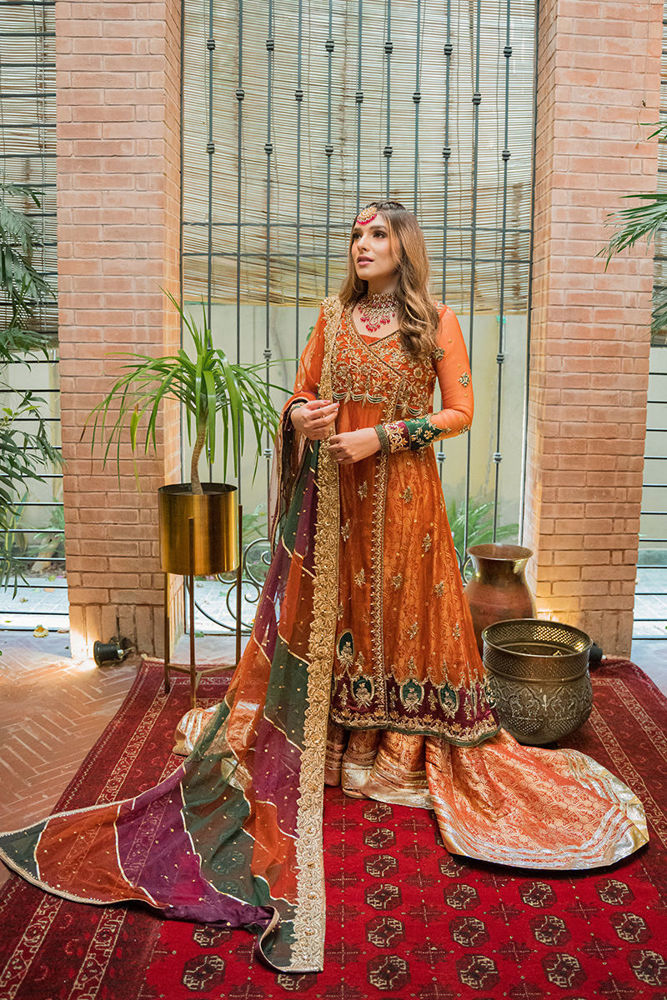 Picture of Dil Nasheen