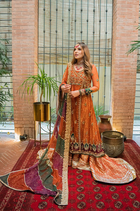 Picture of Dil Nasheen